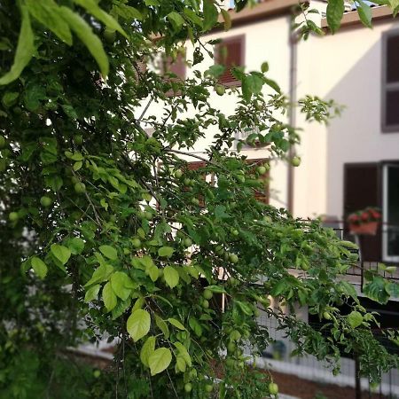 Family Apartment Ingrid Пула Екстериор снимка