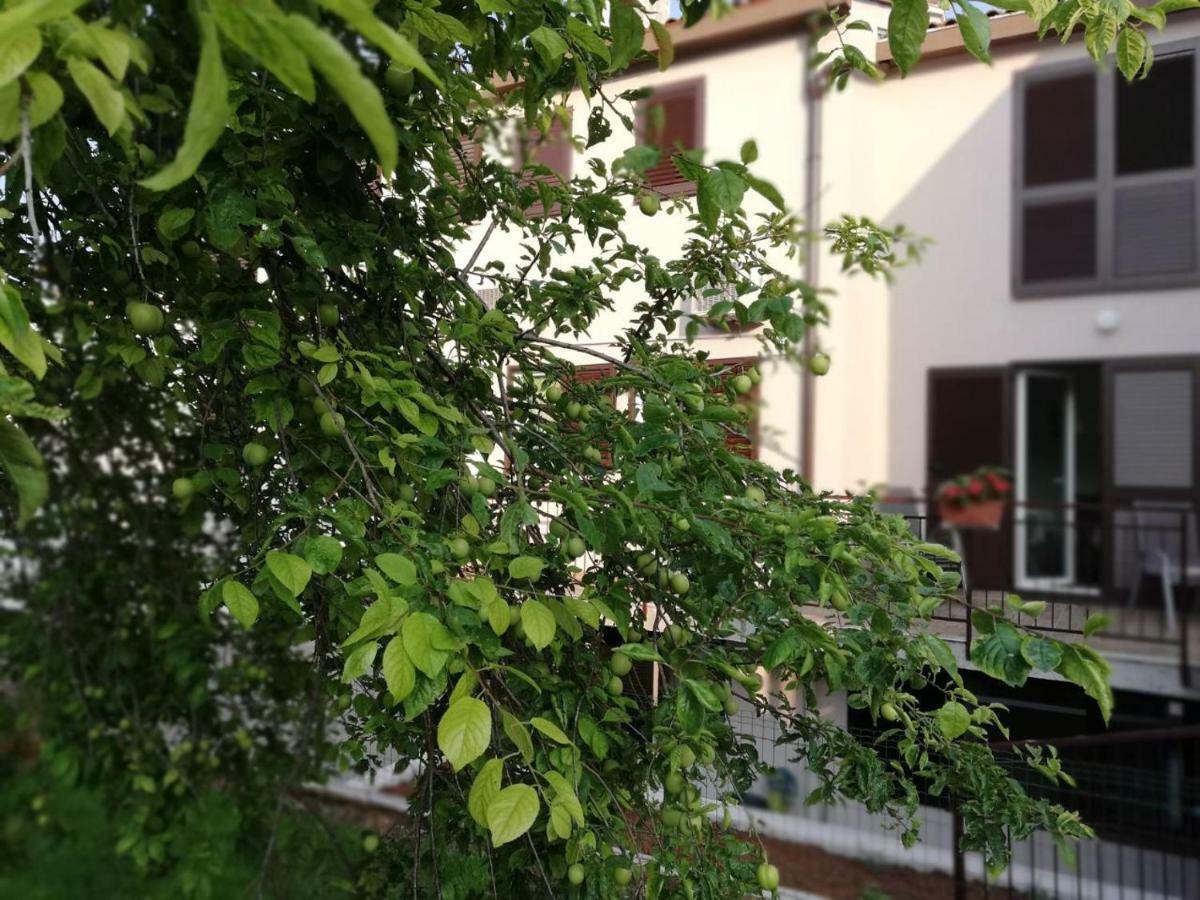 Family Apartment Ingrid Пула Екстериор снимка